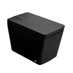 Premium Multifunctional Single-Piece Automatic Smart Toilet With Remote Control, Matte Black (96471352)