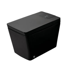 Premium Multifunctional Single-Piece Automatic Smart Toilet With Remote Control, Matte Black (96471352)