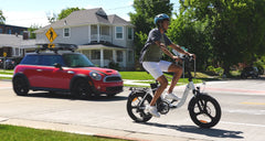 Magnum Bikes Premium 3 Torque LS