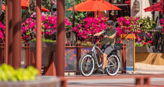 Magnum Bikes Ranger 2.0