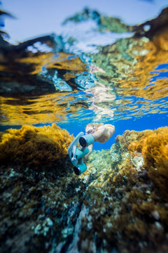 Sublue Underwater Scooter Mix