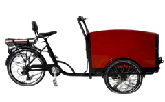eMobilityStar Classic Electric Dutch Cargo Tricycle Bike 202207271