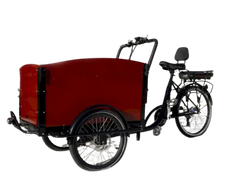 eMobilityStar Classic Electric Dutch Cargo Tricycle Bike 202207271