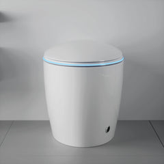 Smart One-Piece Toilet With Bidet, Foot Sensor, LED Display And Dryer (SAK80112)