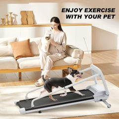 Smart Pet Treadmill With Adjustable Speed For Small And Medium Dogs (SAK72537)