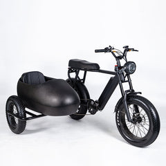 SoverSky Sidecar For Electric Bike