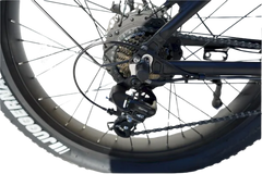 eMobilityStar Fat Tire Electric Tandem Bicycle Bike 10102020