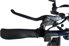 eMobilityStar Fat Tire Electric Tandem Bicycle Bike 10102020