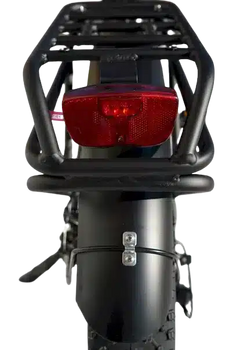 eMobilityStar Fat Tire Electric Tandem Bicycle Bike 10102020