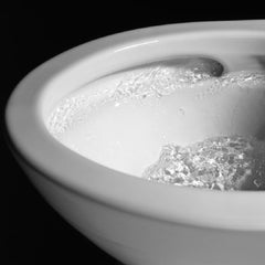 [MW6423084CEFG#01] TOTO Nexus 1.28 GPF One Piece Washlet Elongated Toilet With Left Hand Lever And Build In Bidet Heated Seat Function (SAK89281)