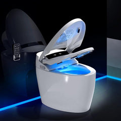 Premium Automatic Single-Piece Home Smart Toilet With Bidet, Foot Sensor And Heated Seat (SAK96152)